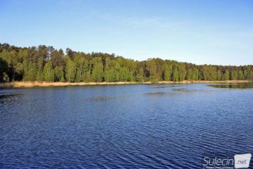 Jezioro Ostrowskie Sulęcin