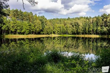 Jezioro pierwsze Sulęcin