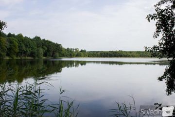 Jezioro Wędrzyn Sulęcin