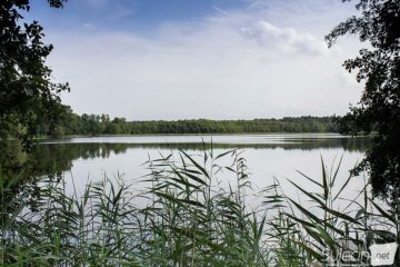 Jezioro Wędrzyn Sulęcin