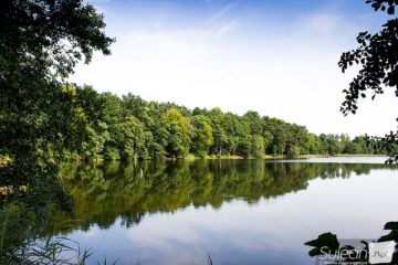 Jezioro Wędrzyn Sulęcin